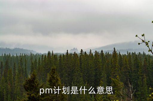 pm計劃是什么意思