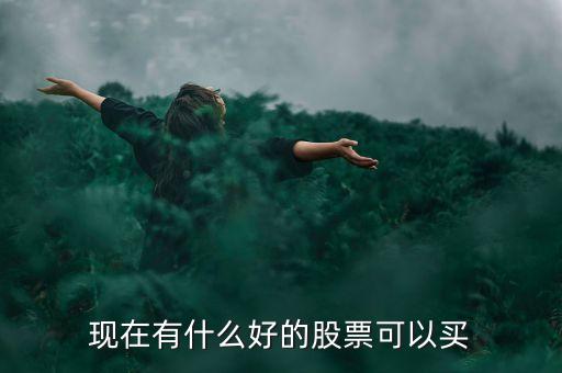 現在有什么好的股票可以買