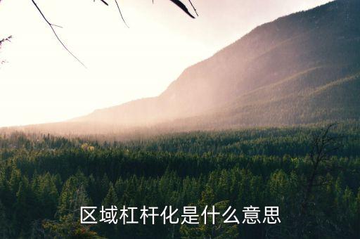 區(qū)域杠桿化是什么意思