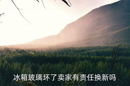 冰箱玻璃壞了賣家有責任換新嗎