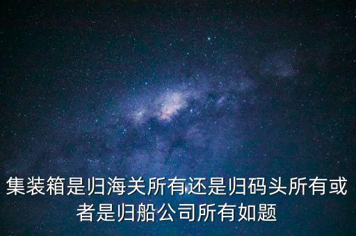 重慶長江輪船公司集裝箱分公司屬于什么性質(zhì)，集裝箱是船公司的么