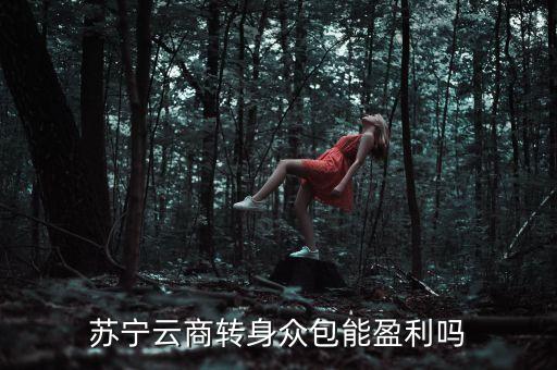 蘇寧眾包什么時候上線，蘇寧云商轉(zhuǎn)身眾包能盈利嗎