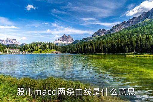 macd兩根曲線是什么意思，股市里MACD的兩條線是什么意思