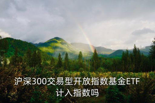 滬深300交易型開(kāi)放指數(shù)基金ETF計(jì)入指數(shù)嗎