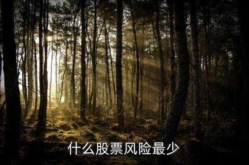 抄股什么樣的公司風(fēng)險小，什么股票風(fēng)險最少