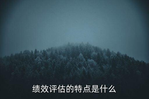 績效評估的特點是什么