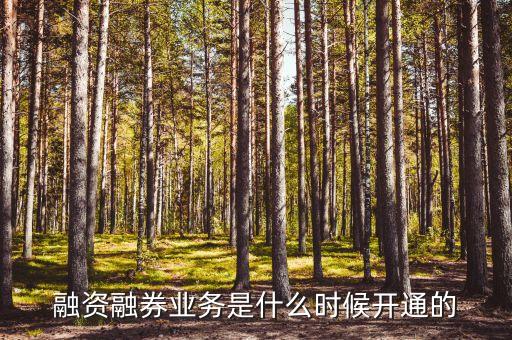 融資融券業(yè)務(wù)什么時候開始的，融資融券什么時候開始