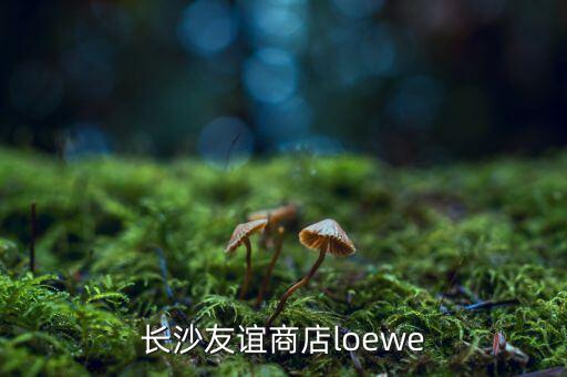 長沙友誼商店loewe