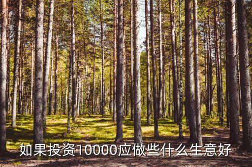 如果投資10000應做些什么生意好