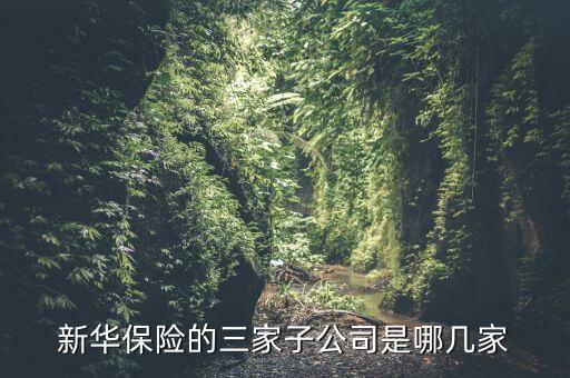 新華保險的三家子公司是哪幾家