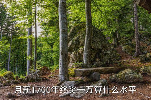 月薪1700年終獎(jiǎng)一萬(wàn)算什么水平