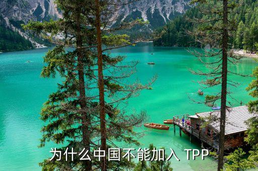 中國加入不了tpp的原因是什么，為什么中國不能加入 TPP