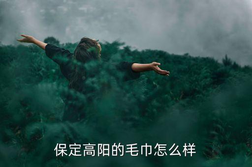 保定高陽的毛巾怎么樣