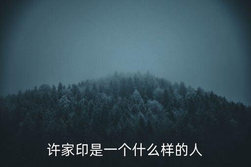 許家印是一個(gè)什么樣的人