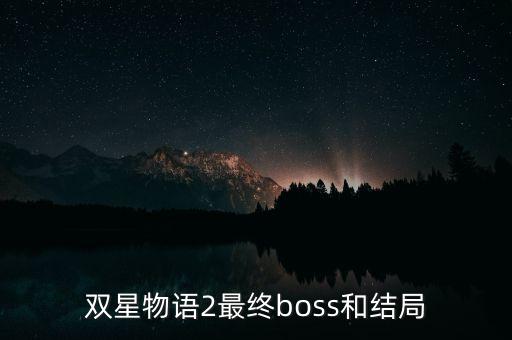 雙星汪海干什么去了，雙星 董事長