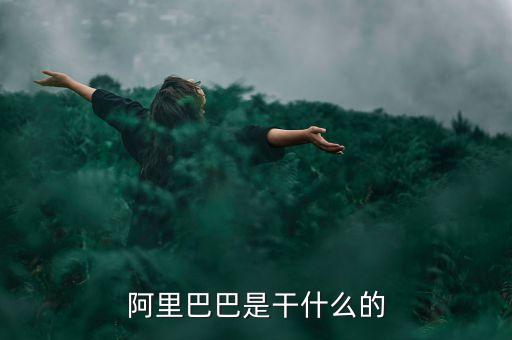 阿里巴巴是干什么的