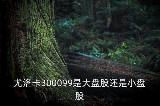 尤洛卡300099是大盤(pán)股還是小盤(pán)股