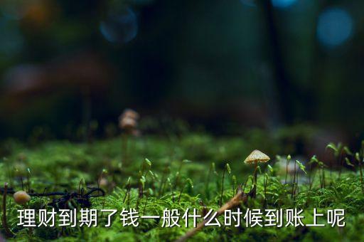 理財(cái)?shù)狡诹隋X一般什么時候到賬上呢