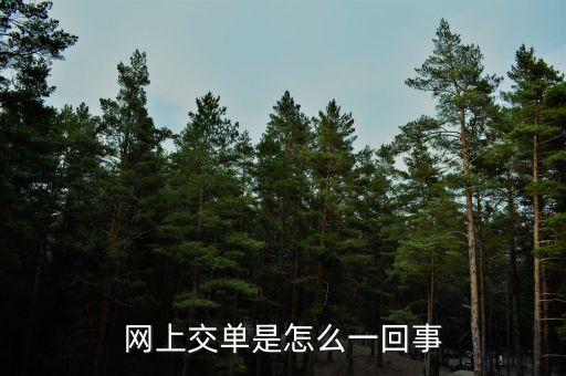 什么叫電子交單，網(wǎng)上交單是怎么一回事