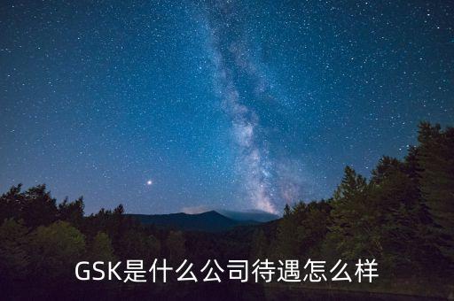 gsk公司的價(jià)值觀(guān)是什么，GSK是什么意思