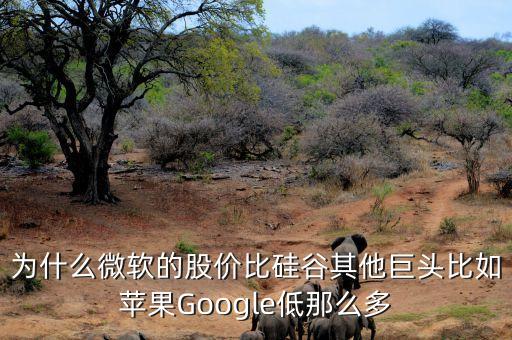 為什么微軟的股價比硅谷其他巨頭比如蘋果Google低那么多