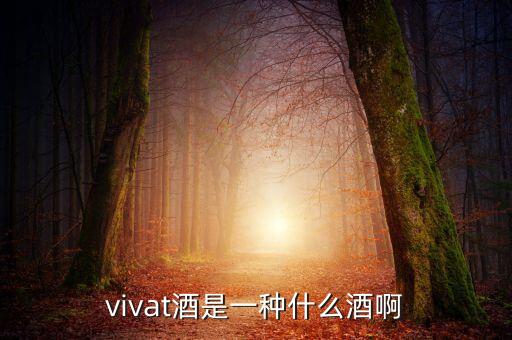 vivat酒是一種什么酒啊