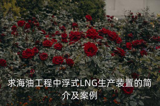 什么是浮式lng項(xiàng)目，什么是浮式LNG