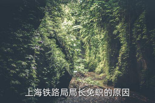 上海鐵路局局長(zhǎng)免職的原因