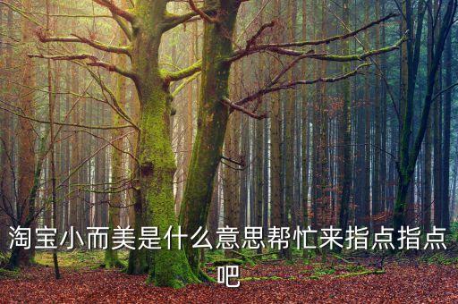 淘寶小而美是什么意思幫忙來指點(diǎn)指點(diǎn)吧