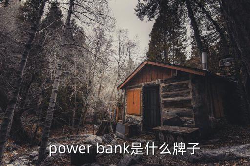 power bank是什么牌子