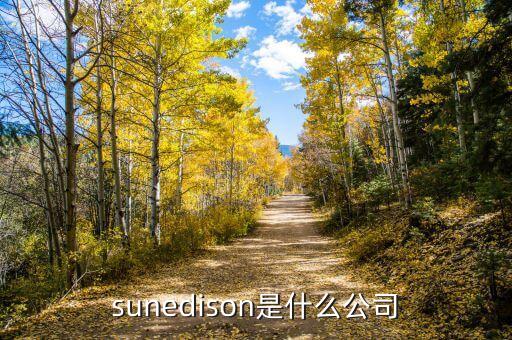 sunedison是什么公司