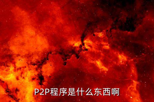 P2P程序是什么東西啊