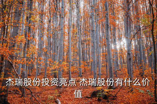 杰瑞股份是什么公司，sunedison是什么公司