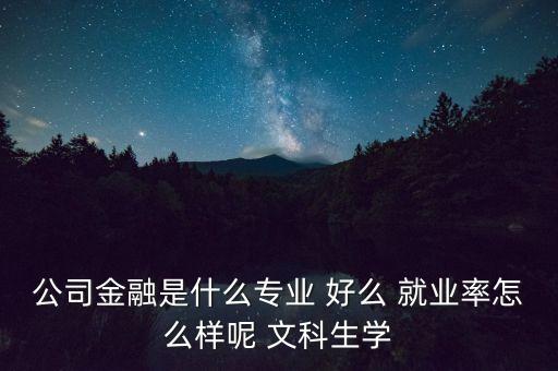 什么叫公司金融，公司金融是什么專業(yè) 好么 就業(yè)率怎么樣呢 文科生學(xué)