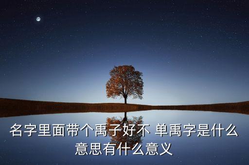 名字里面帶個(gè)禹子好不 單禹字是什么意思有什么意義