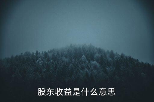 股東收益是什么意思