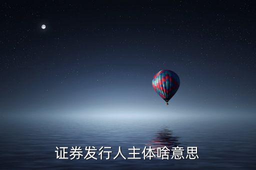 什么是股票發(fā)行人，發(fā)行人的概念是什么