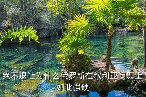 絕不退讓為什么俄羅斯在敘利亞問(wèn)題上如此強(qiáng)硬