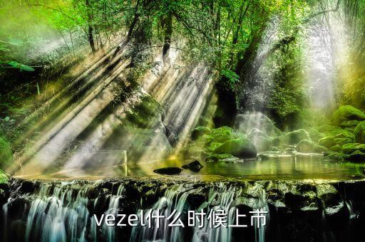 維珍妮集團什么時候上市，vezel什么時候上市