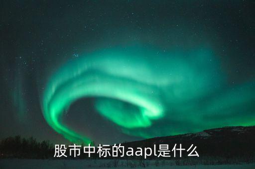 股市中標(biāo)的aapl是什么