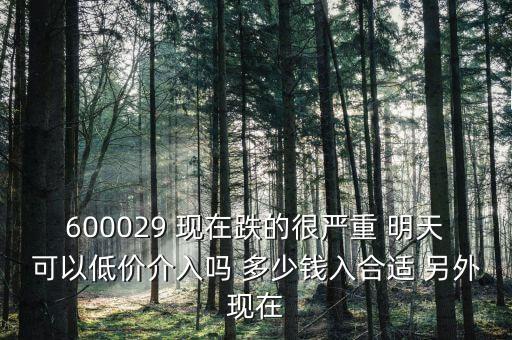 粵傳媒今天什么跌這么厲害，600029 現(xiàn)在跌的很嚴(yán)重 明天可以低價(jià)介入嗎 多少錢入合適 另外現(xiàn)在