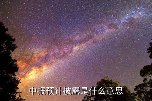 預(yù)先披露是什么意思，中報(bào)預(yù)計(jì)披露是什么意思