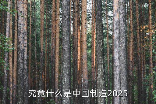 究竟什么是中國制造2025