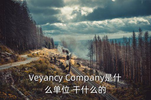 時代沃頓科技有限公司是什么單位，Veyancy Company是什么單位 干什么的