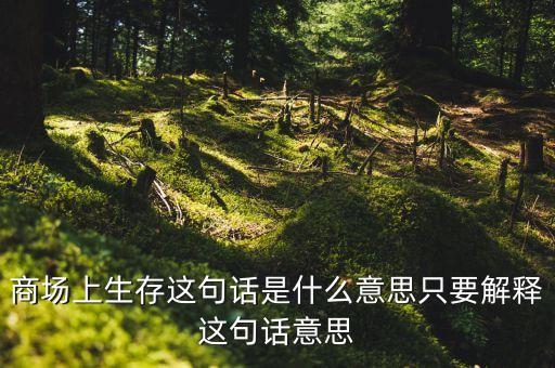 商場(chǎng)上生存這句話是什么意思只要解釋這句話意思