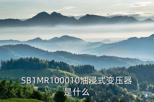 油浸式變壓器什么是酚推，SB1MR100010油浸式變壓器是什么