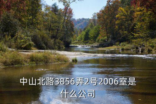 中山北路3856弄2號(hào)2006室是什么公司