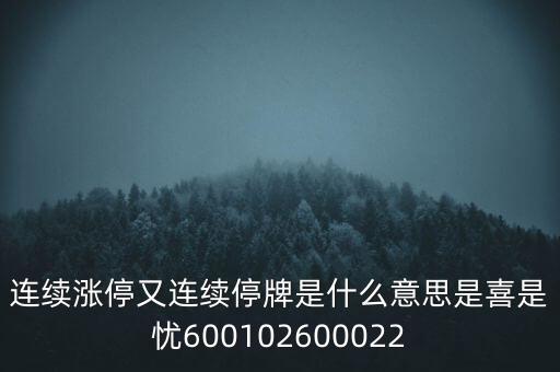 600139連續(xù)停牌是什么意思，股票連續(xù)停牌是什么意思