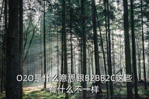 美菜網(wǎng)o2o是什么，O2O是什么意思跟B2BB2C這些有什么不一樣