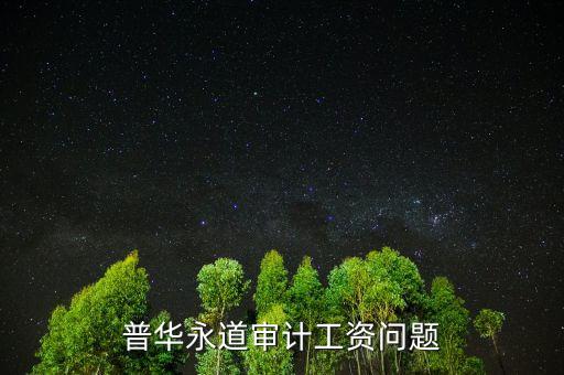 普華審計做什么，普華永道審計工資問題